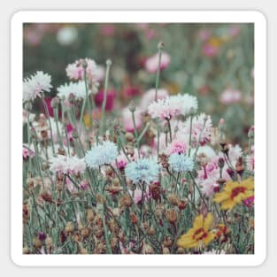 Wildflowers in the breeze III Sticker